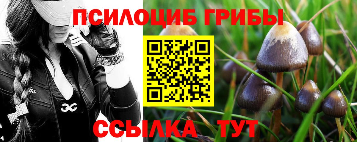 Галлюциногенные грибы MAGIC MUSHROOMS  Вход с VPN  Псилоцибиновые грибы мицелий  Кингисепп 