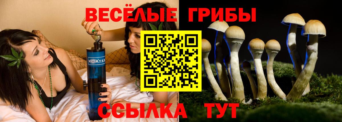 Галлюциногенные грибы Magic Shrooms Кингисепп
